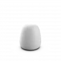 Bolb