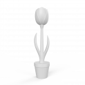 Flora