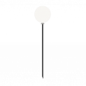 Balloon