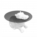 HIPPO