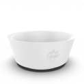 Pion