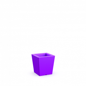Deep Violet