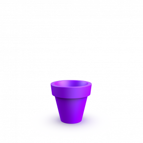 Deep Violet