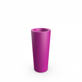 Royal Purple