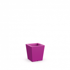 Royal Purple