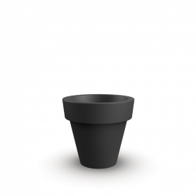 Coal Black