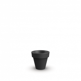 Coal Black