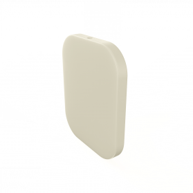 Bone Brown