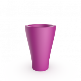Royal Purple