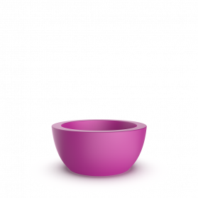 Royal Purple