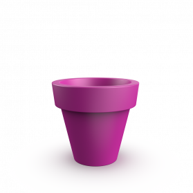 Royal Purple