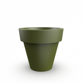 Olive green