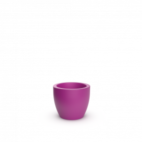 Royal Purple