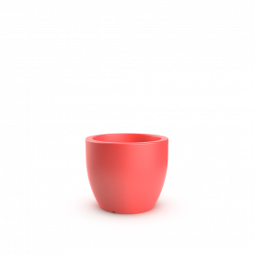 Chili Red