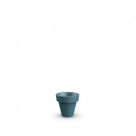 Blue Pine