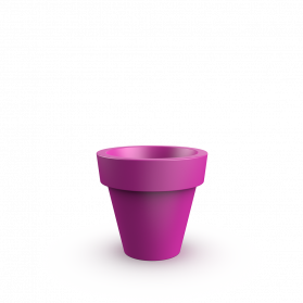 Royal Purple