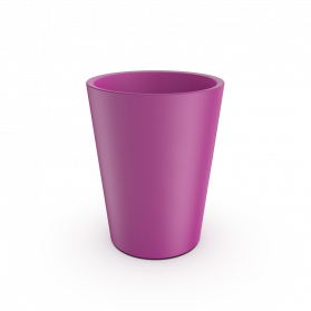 Royal Purple