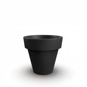 Coal Black