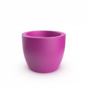Royal Purple
