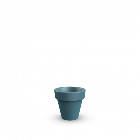 Blue Pine