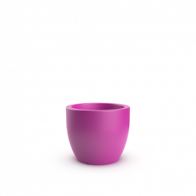 Royal Purple