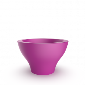 Royal Purple