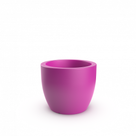 Royal Purple