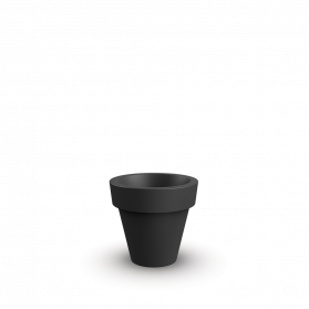 Coal Black