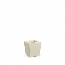 Bone Brown