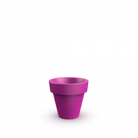 Royal Purple