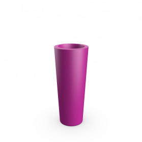 Royal Purple