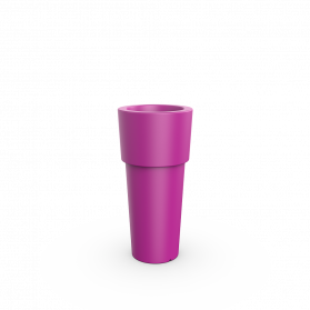 Royal Purple