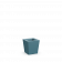 Blue Pine