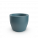Blue Pine
