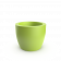 Spring Green
