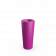 Royal Purple