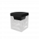 Coal Black