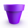 Deep Violet