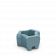 Blue Pine