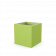 Spring Green