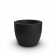 Coal Black