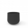Coal Black