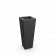 Black Granite