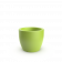 Spring Green