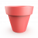 Chili Red