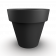 Coal Black
