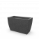 Black Granite