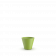 Spring Green