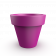 Royal Purple