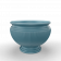 Blue Pine